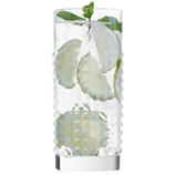 Luigi Bormioli Elixir Highball Glass, 480ml