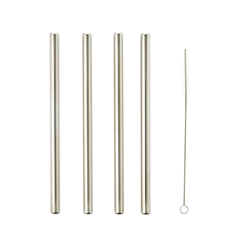 Momento Stainless Steel Smoothie Straws With Brush, 5 Piece